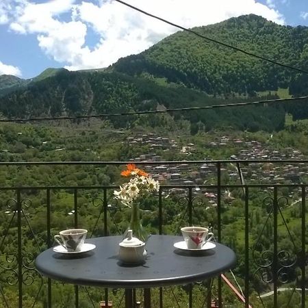 Baou House Διαμέρισμα Μέτσοβο Εξωτερικό φωτογραφία