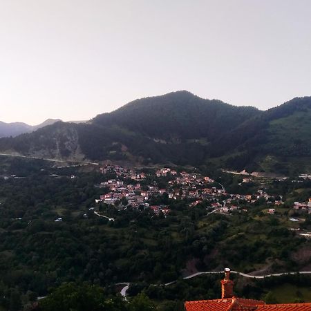 Baou House Διαμέρισμα Μέτσοβο Εξωτερικό φωτογραφία